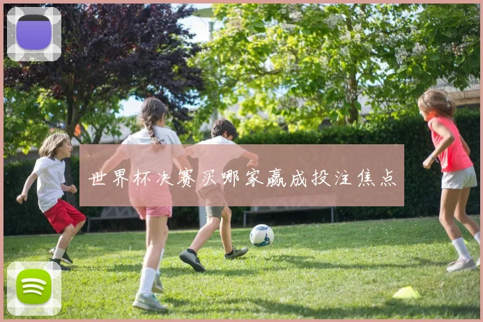 世界杯决赛买哪家赢成投注焦点