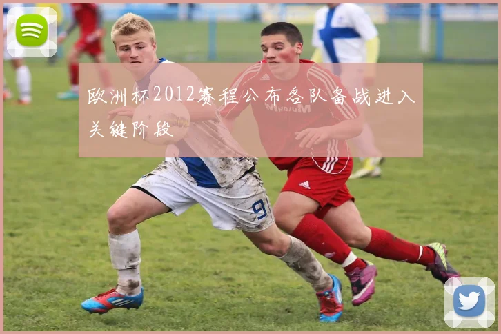 欧洲杯2012赛程公布各队备战进入关键阶段