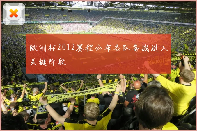 欧洲杯2012赛程公布各队备战进入关键阶段