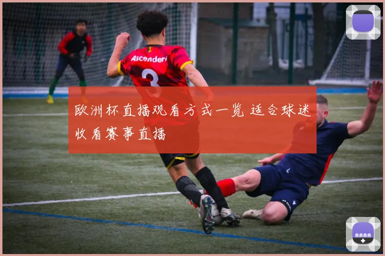 欧洲杯直播观看方式一览 适合球迷收看赛事直播