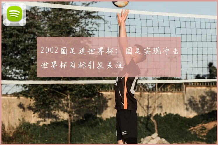 2002国足进世界杯：国足实现冲击世界杯目标引发关注