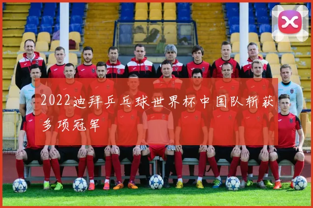 2022迪拜乒乓球世界杯中国队斩获多项冠军