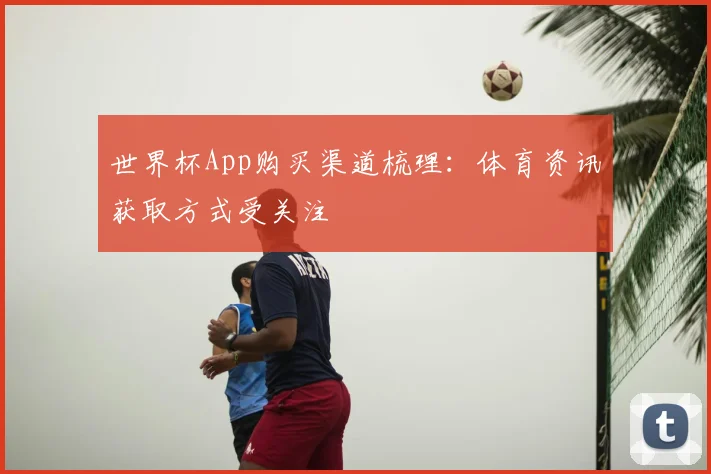 世界杯App购买渠道梳理：体育资讯获取方式受关注