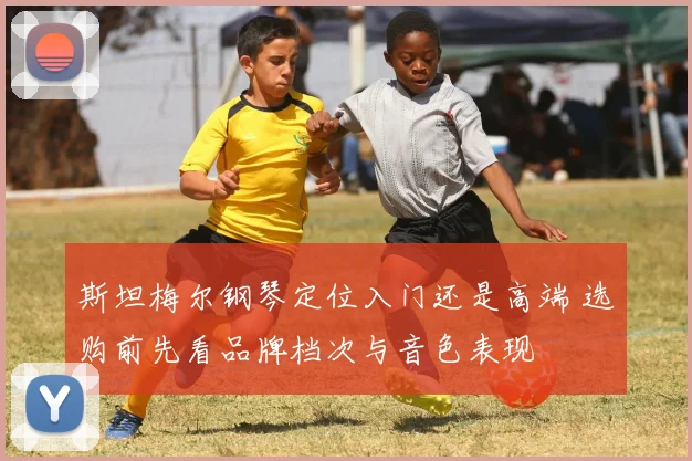 斯坦梅尔钢琴定位入门还是高端 选购前先看品牌档次与音色表现