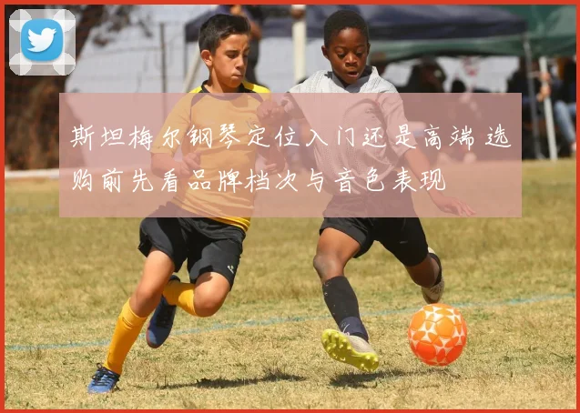斯坦梅尔钢琴定位入门还是高端 选购前先看品牌档次与音色表现